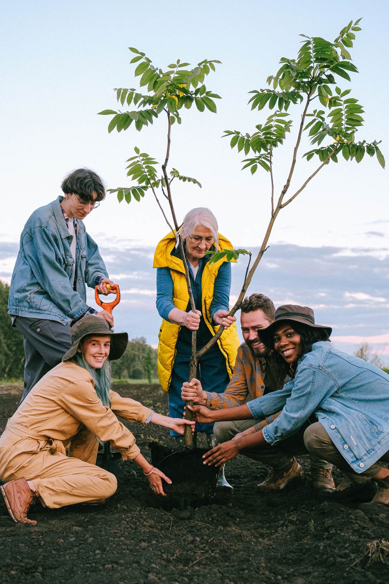 Volunteers planting a young tree together