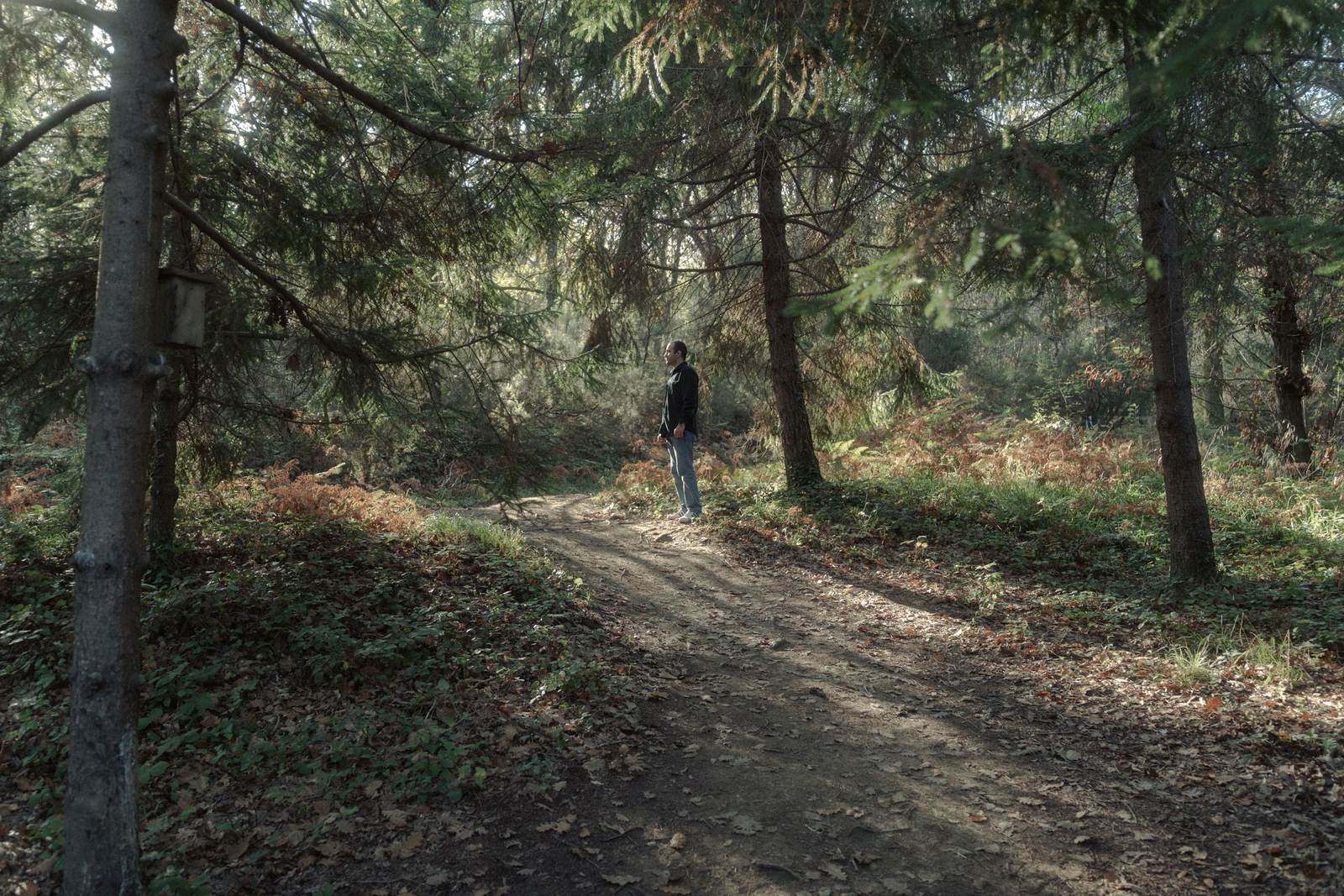 A person walking along a forest trail