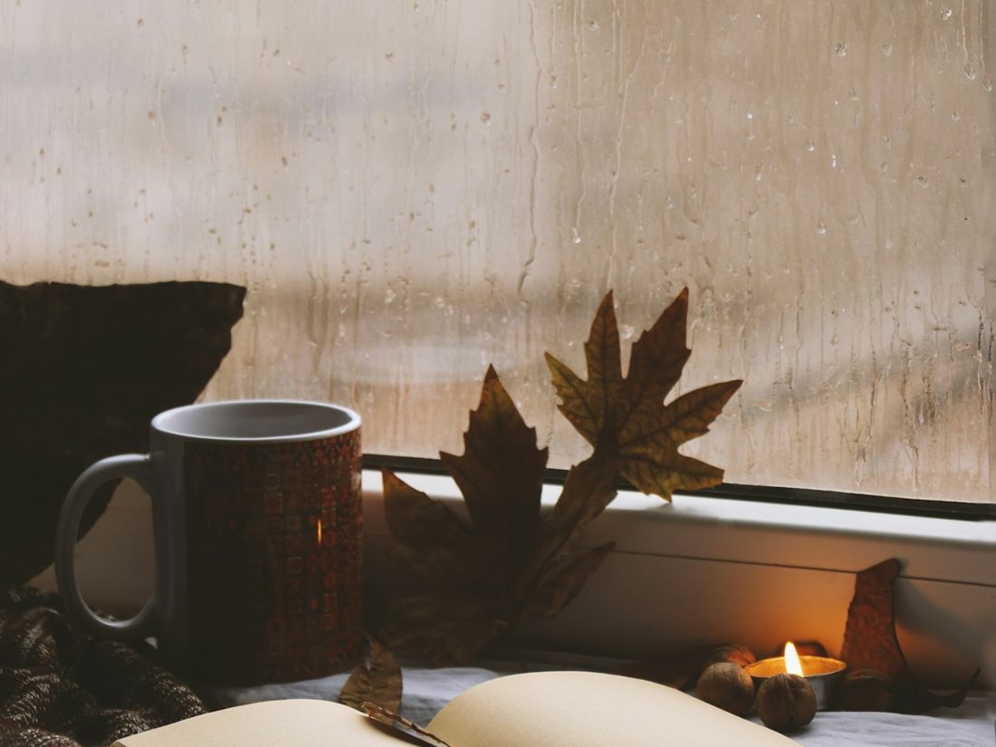 A mug and a plant on a windowsill in morning light