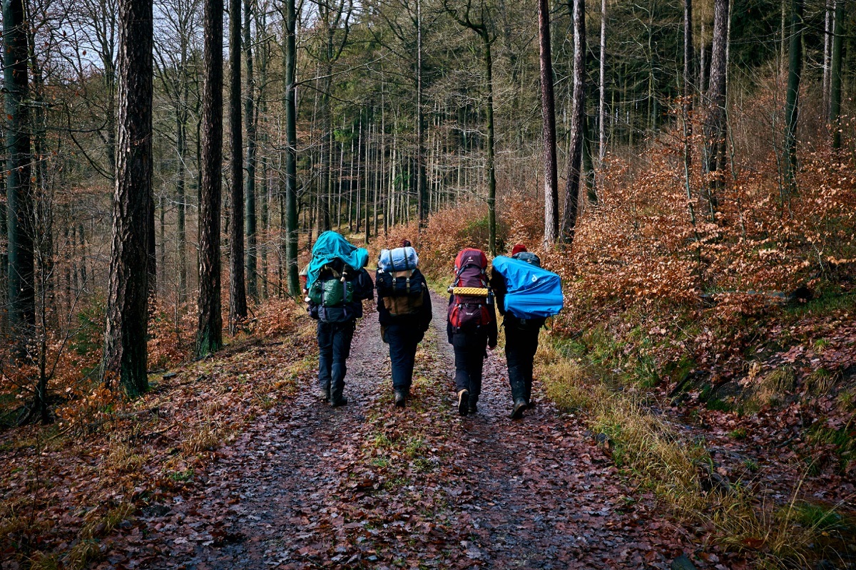 Four hikers with large backpacks walk side by side down a leaf-covered forest track.