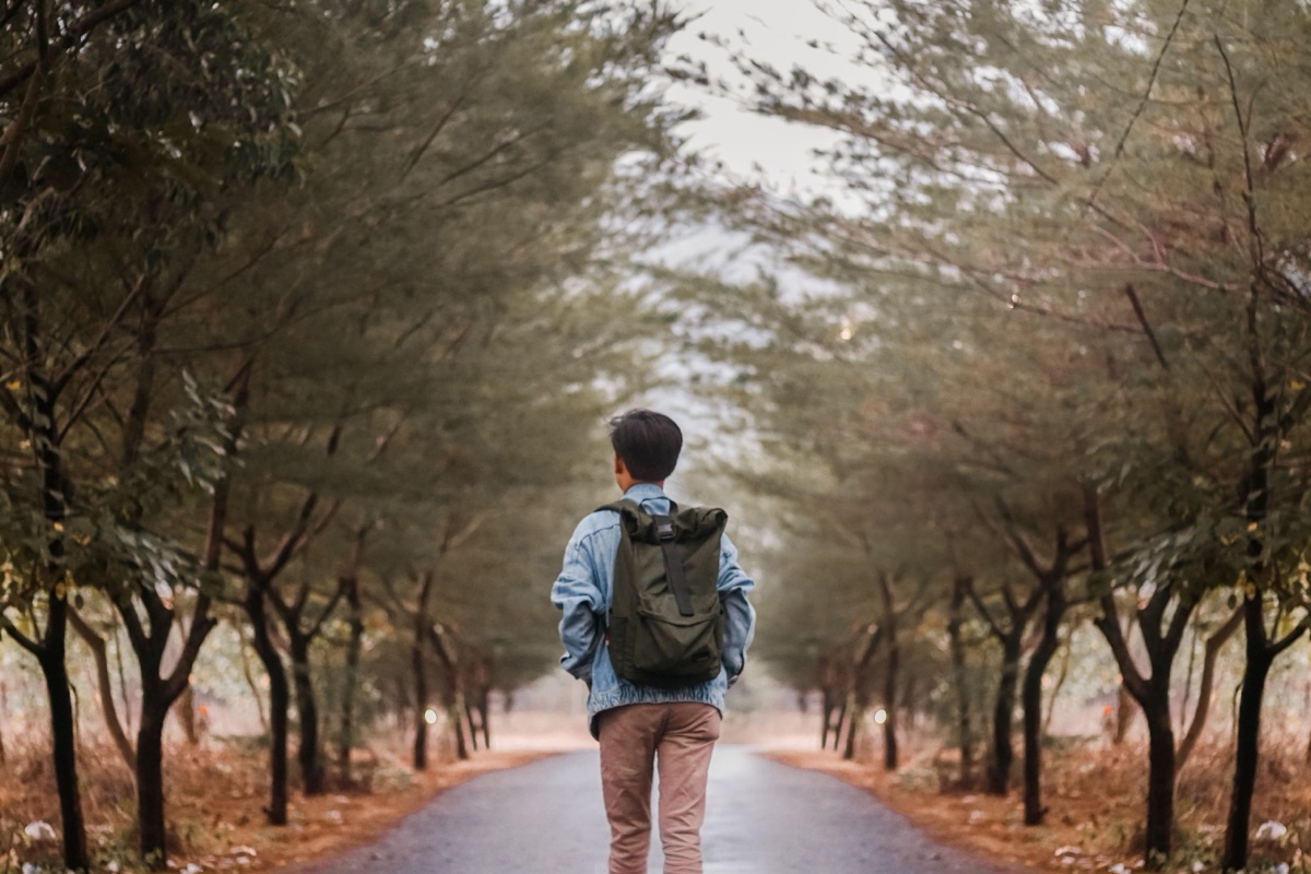A young person with a backpack, seen from behind, walks down a tree-lined road.