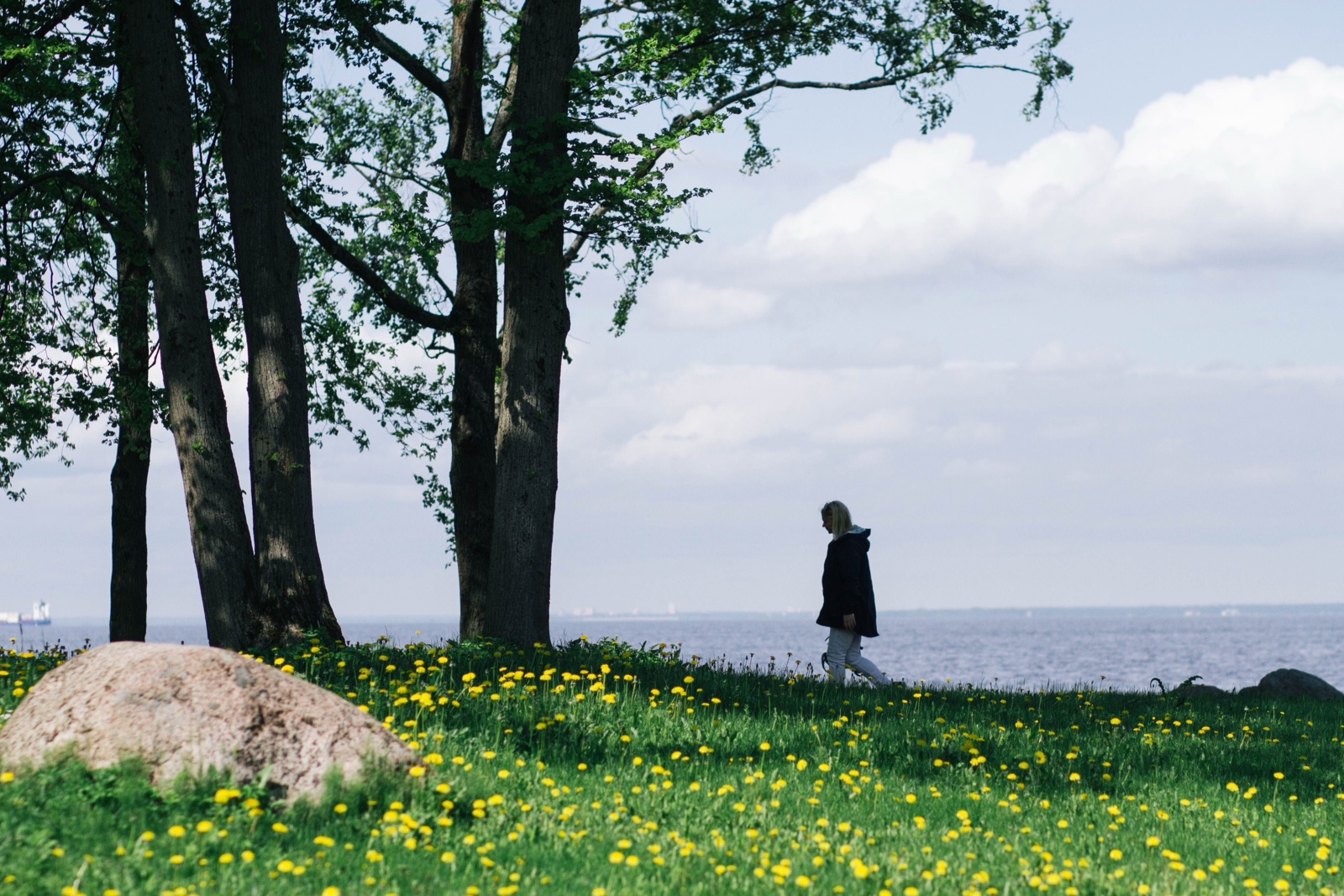 A person walks along a lakeshore past tall trees and a meadow of yellow wildflowers.