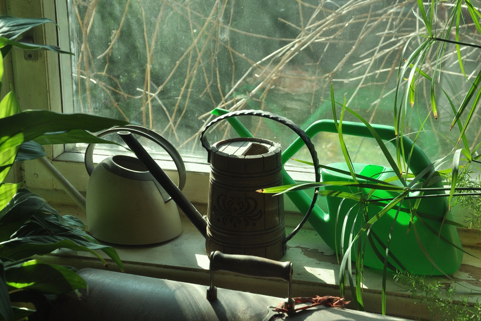 Three watering cans sit on a windowsill among green houseplants.