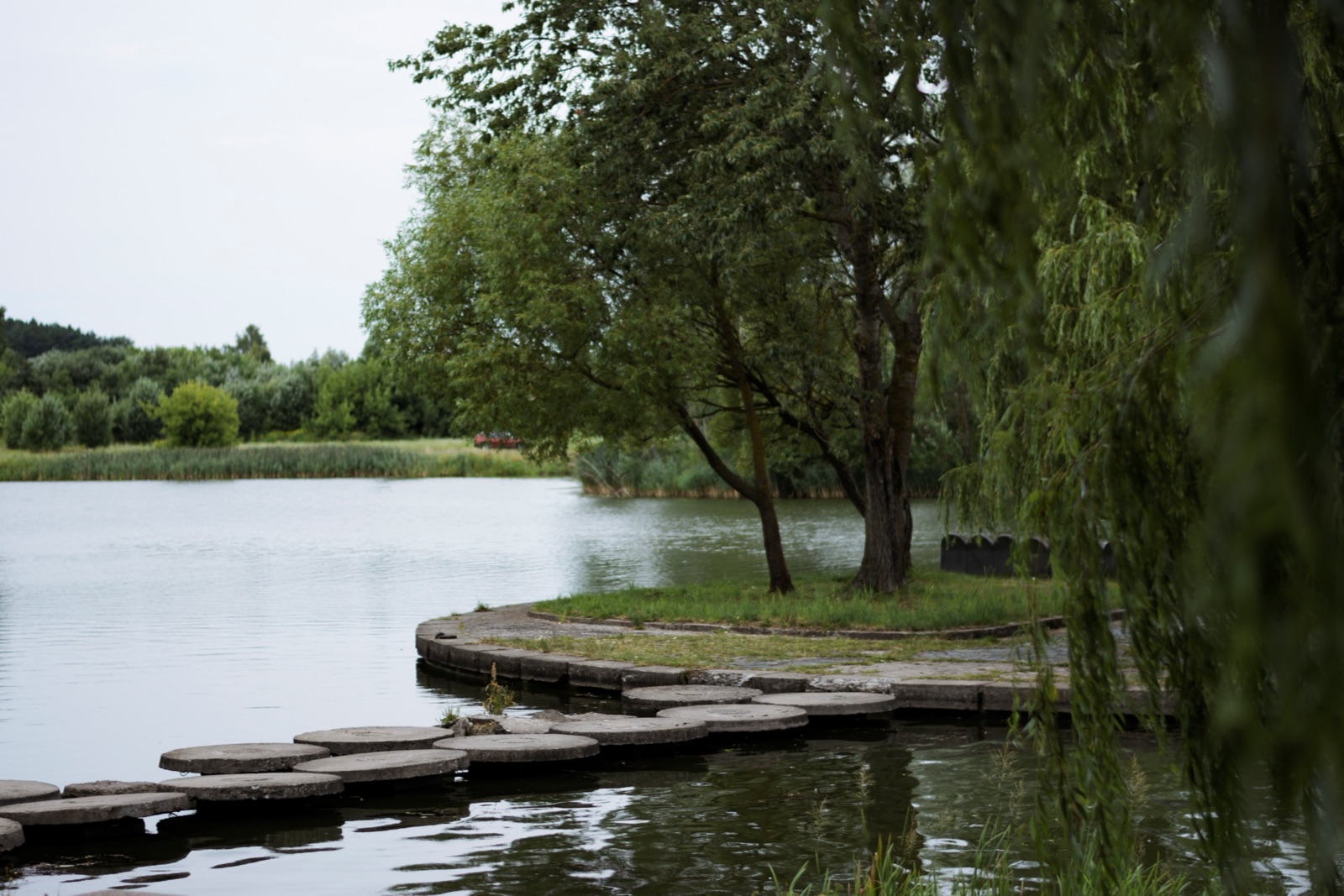 Round stepping stones cross the edge of a pond toward a small island with willow trees.